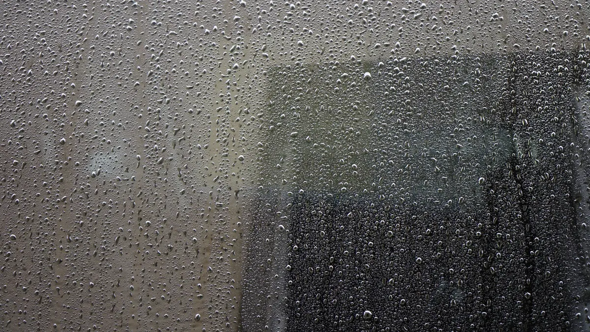 Water droplets covering a rain-drenched window