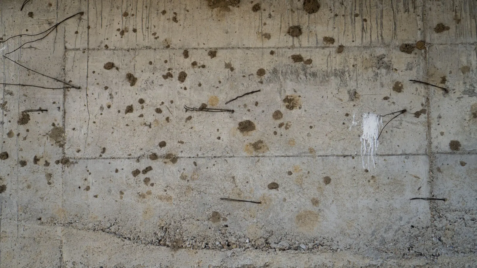 A concrete foundation wall with dark staining and visible form tie marks