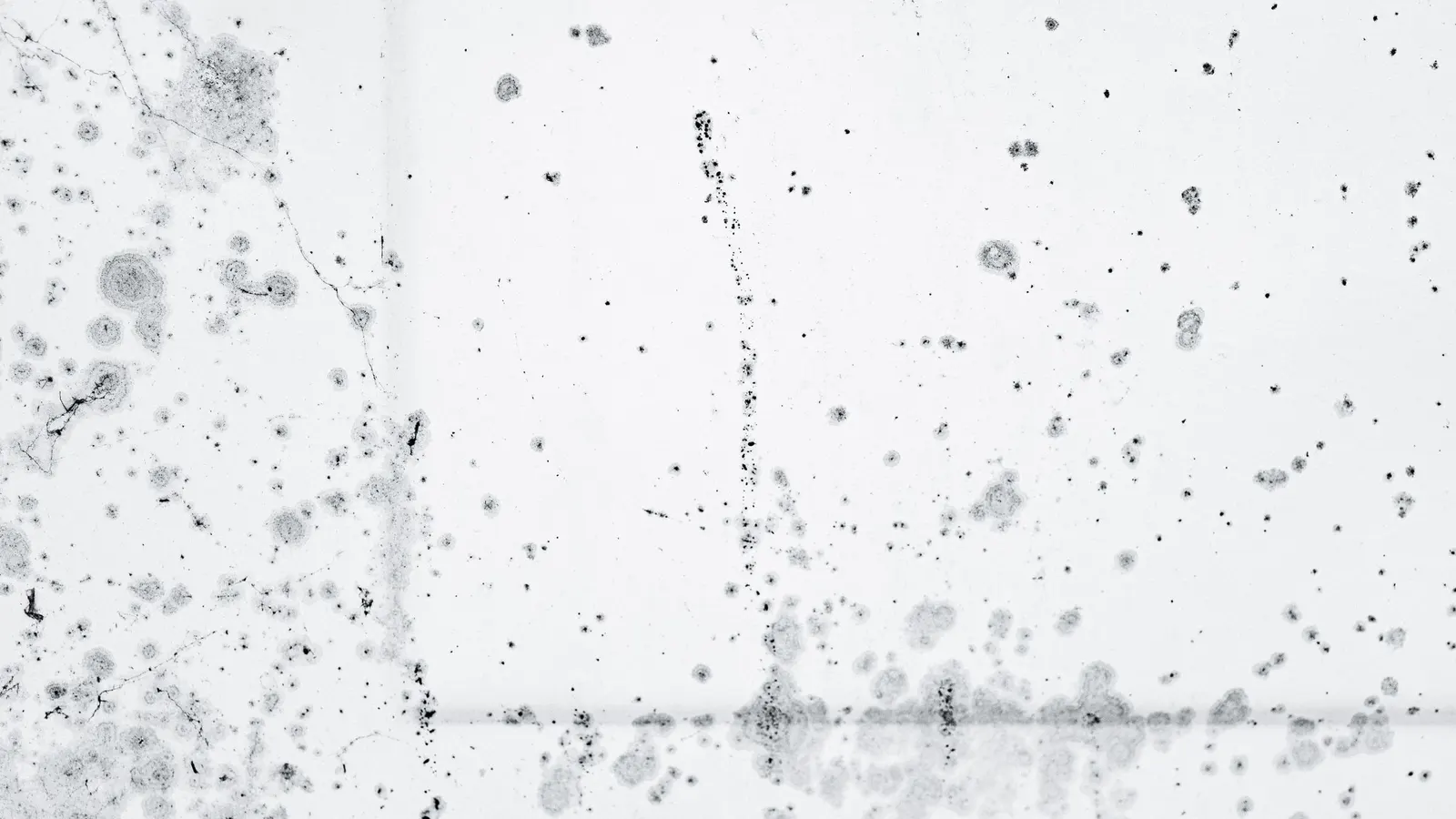 Dark mold spotting spread across a pale interior wall