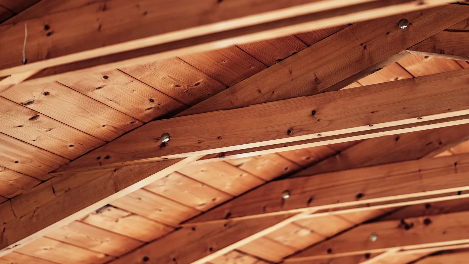 Timber joists and boarding seen from below in warm light