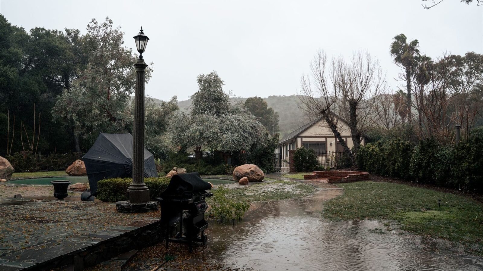 Standing water pooling across a wet garden and driveway beside a house