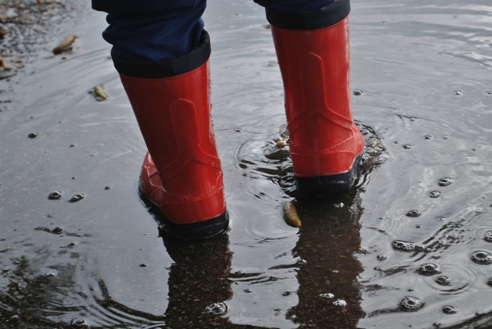 A person in red rubber boots standing in a puddle during rain